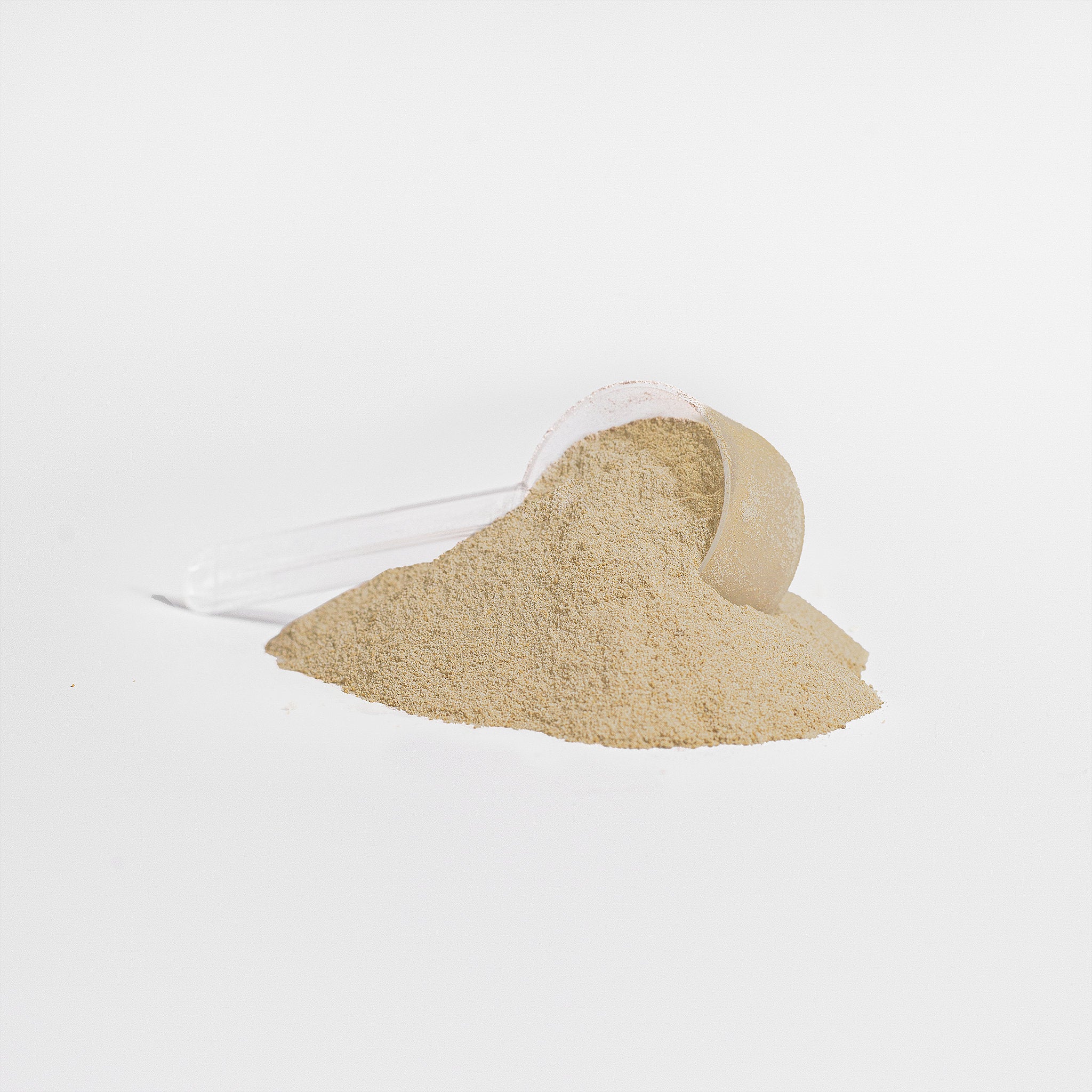 Advanced 100% Whey Protein Vanilla Powder By Blush And Bloom Care
