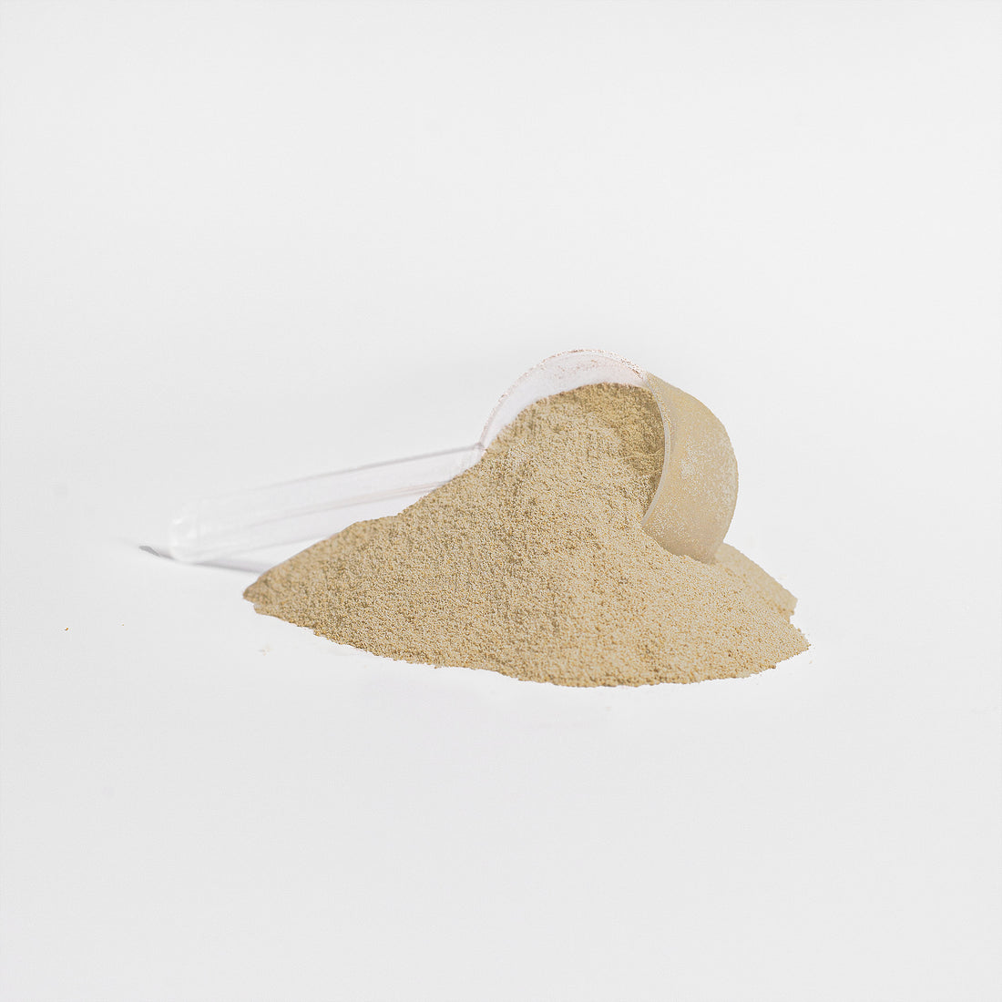 Advanced 100% Whey Protein Vanilla Powder By Blush And Bloom Care