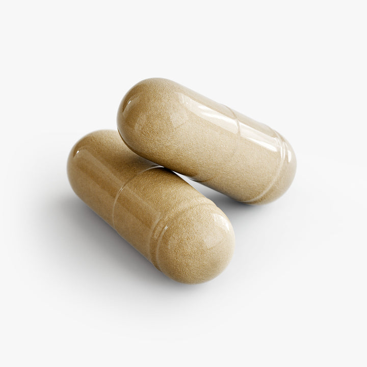 Two beige capsules Of Moringa Pure Suppliment by Blush And Bloom Care 